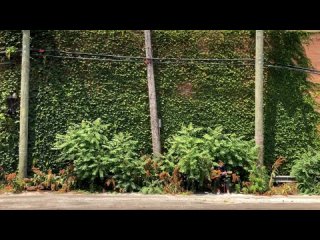 Owen - The Contours (Green Wall Alley)