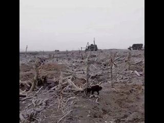 ️🇷🇺🇺🇦 Étapes de la route de la mort près de Rabotino à travers les yeux d’un combattant des forces armées ukrainiennes : autour