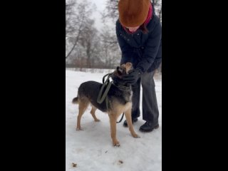 Ребят, есть повод задуматься 😁

У нас в секторе есть крутой пёс.