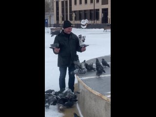 Житель Данкова приручил голубей