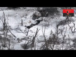 Видео от ВСУ...Кадры с вражеского дрона, на кадрах штурмовая группа российских бойцов, хотели взять штурмом позиции ВСУ.