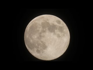 Луна над Гатчиной сегодня, 26 декабря 2023 года. Музыкальное сопровождение — “Лунная Соната“ Людвига ван Бетховена.