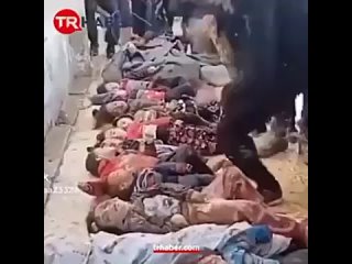 Gaza La CIJ ne dtourne pas le regard