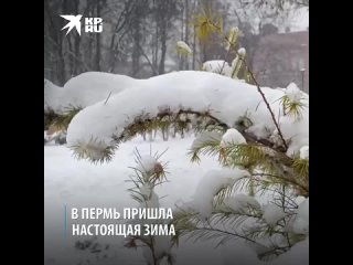 В Пермь пришла настоящая зима