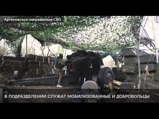 Верный товарищ и защитник — собака Мина охраняет артиллеристов ВДВ на Артемовском направлении