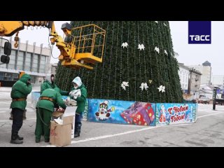 En Lugansk, el árbol principal de Año Nuevo se instaló en la plaza Teatralnaya