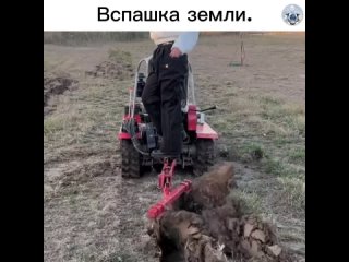 Вспашка земли является одной из важнейших операций в сельском хозяйстве. Она проводится с целью обработки почвы перед... (видео)