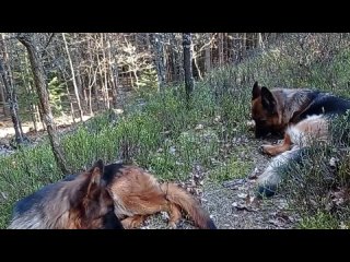 5 - Ježíš Kristus, Pán pánů, Král králů, Stvořitel Nebe a Země. Nikoliv prorok, či potulný kazatel.