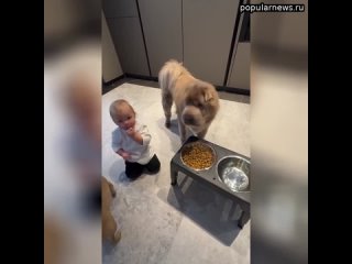 Дочь Ольги Орловой ест собачий корм   Пользователи сети обрушились с критикой на Ольгу, заявив, что