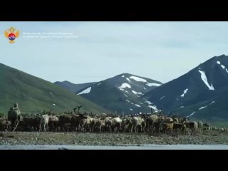 На выставке-форуме «Россия» прошел день Дальнего Востока и Арктики