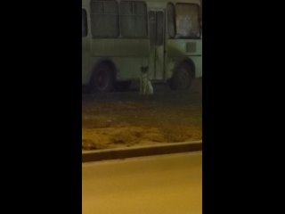 Видео от КИНО-паркинг