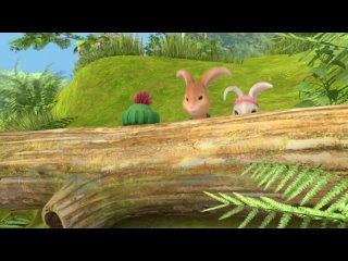 @OfficialPeterRabbit - Nothings Faster than a Rabbit!   Cartoons for Kids   Mr Tod