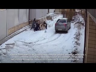 В Карачево-Черкесии огромный алабай напал на женщину и едва не растерзал ее