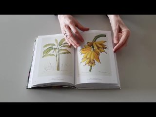 Книга «Pierre-Joseph Redoute. The Book of Flowers» H. Walter Lack | «Пьер-Жозеф Редуте. Книга цветов
