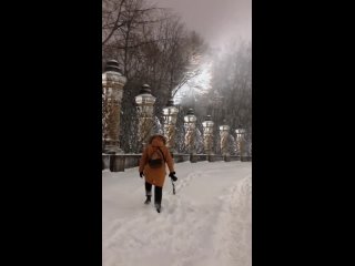 Снегопад в Питере
