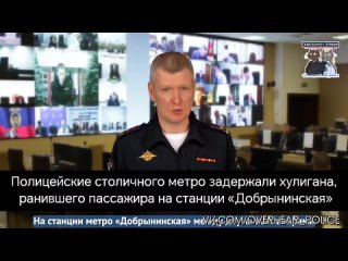 Полицейские столичного метро задержали хулигана, ранившего пассажира на станции «Добрынинская»