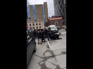 Канада. Демократичная полиция демократично избивает митингующих