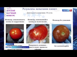 Команда регионального школьного технопарка в Астрахани разработала биоразлагаемую пленку для хранения продуктов питания.