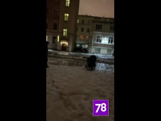 В Петербурге задержали треш-блогеров, снимавших драки у ТРЦ на видео