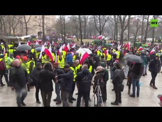 ‘We are made into losers’ | Polish farmers rally for changes in agricultural policy