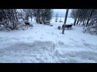 Заваленный снегом Приозёрный парк