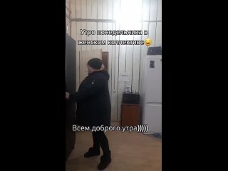 Типичное утро в серпентарии 🤣🤣🤣