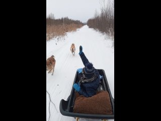 Сегодня поехали на Арчекас ... взяли с собой собак