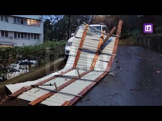 Мощный шквалистый ветер в Сочи повалил свыше 80 деревьев и повредил кровли более десяти домов