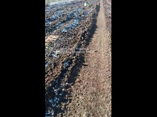 ️Кадры “дороги смерти“ с демилитаризованной украинской бронетехникой на Запорожском направлении