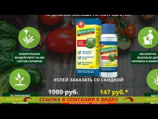 БОРЬБА С ТРАВОЙ И СОРНЯКАМИ НАРОДНЫМИ СРЕДСТВАМИ  ГЕРБИЦИДЫ ИНСЕКТИЦИДЫ СПИСОК ПОПУЛЯРНЫХ ПРЕП