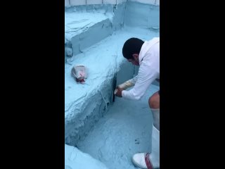 Гидроизоляционное покрытие бассейна мексиканскими парнями