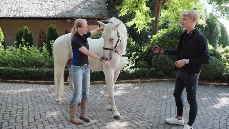 TRY THESE 4 STRETCHES TO HELP YOUR HORSE