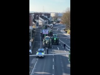 ️ Un participant à une action de protestation à Berlin va déverser du fumier dans un centre d’emploi pour réfugiés ukrainiens au