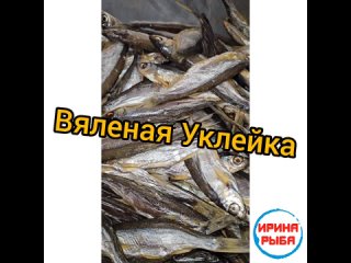 Вяленая Уклейка