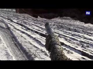 Соmbat work of crews of T-72B3 tanks