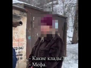 В Красноярске сотрудники Госавтоинспекции задержали закладчицу из Новосибирска с 2 килограммами мефедрона