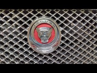 JAGUAR & Антон Делает Тефлон! Я делаю Автомобили Защищёнными! Красивыми! Сверкающими Ракетами🚀