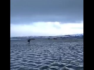 ️🇷🇺 Au nord du Kamtchatka, la mer est sortie de son lit et a inondé l’aéroport