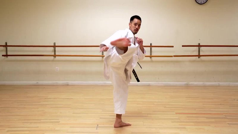 Mawashi Geri Tutorial (Shotokan Karate) .