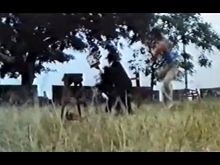 Воин Кунгфу +Kung Fu Warrior .1980.(МаркЧун,ЛиХой-Сан)