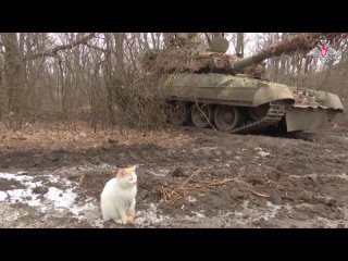 Экипажи танков Т-80БВ группировки войск «Запад» уничтожили укрепления украинских боевиков и бронетехнику ВСУ