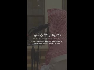 -Мухаммад аль-Люхайдан  красивое чтение Корана!.mp4