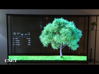 LG привезла на CES 2024 прозрачный телевизор OLED T

Ещё более необычным его делает тот факт, что это беспроводная модель — карт