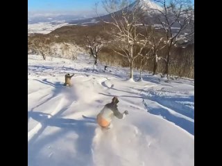 Видео от Сноуборд Snowboard