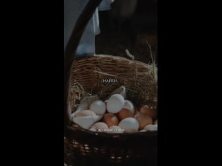 Что произойдет, если есть яйца каждый день_ (720p).mp4