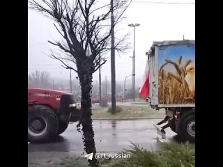 Польские фермеры по всей стране перекрыли дороги и КПП на границе с Украиной в знак протеста против политики ЕС