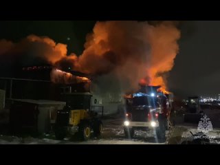 Площадь пожара на складе рыбной мануфактуры в Мурманске увеличилась до 1 200 кв. м – МЧС