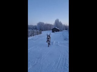 Дорогие жители Константиновки, Вознесенки и  Мордвиновки, с чудесным утром субботы!