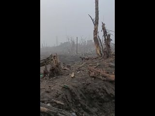 La situation à la tête de pont de Krynki, sur la rive gauche du Dniepr. Vidéo des forces armées ukrainiennes