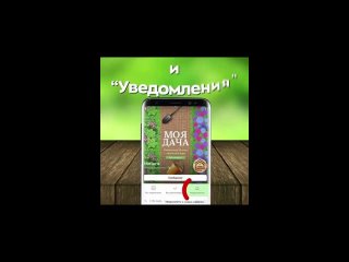 Дедушкина заначка на даче